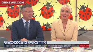 ‘I’m going!’ Dawn Neesom left in hysterics as Stephen Dixon walks off set after ‘embarrassing’ moment