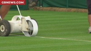 BBC blasted by angry Wimbledon viewers after iPlayer issues on Novak Djokovic clash: ‘Sort it out!’