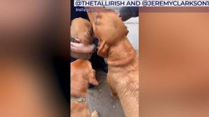 Jeremy Clarkson leaves fans in tears as he announces ‘sad’ Diddly Squat departure: ‘Made me cry my eyes out!’