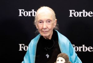 Jane Goodall dies aged 91 as tributes pour in for famed primatologist