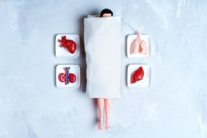 From monkey glands to ‘young blood’: the long, strange history of chasing immortality through transplants