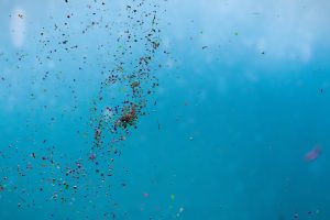 Scientists have puzzled over what happens to plastic as it breaks down in the ocean – our new study helps explain the mystery