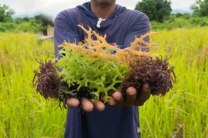 Five ways to make the ocean economy more sustainable and just