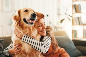 Golden retriever and human behaviour may be linked by the same genes – new research